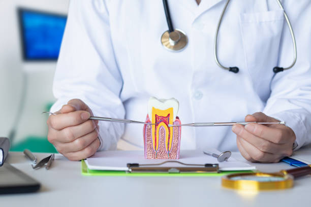 Best Emergency Root Canal Treatment in Walker, LA